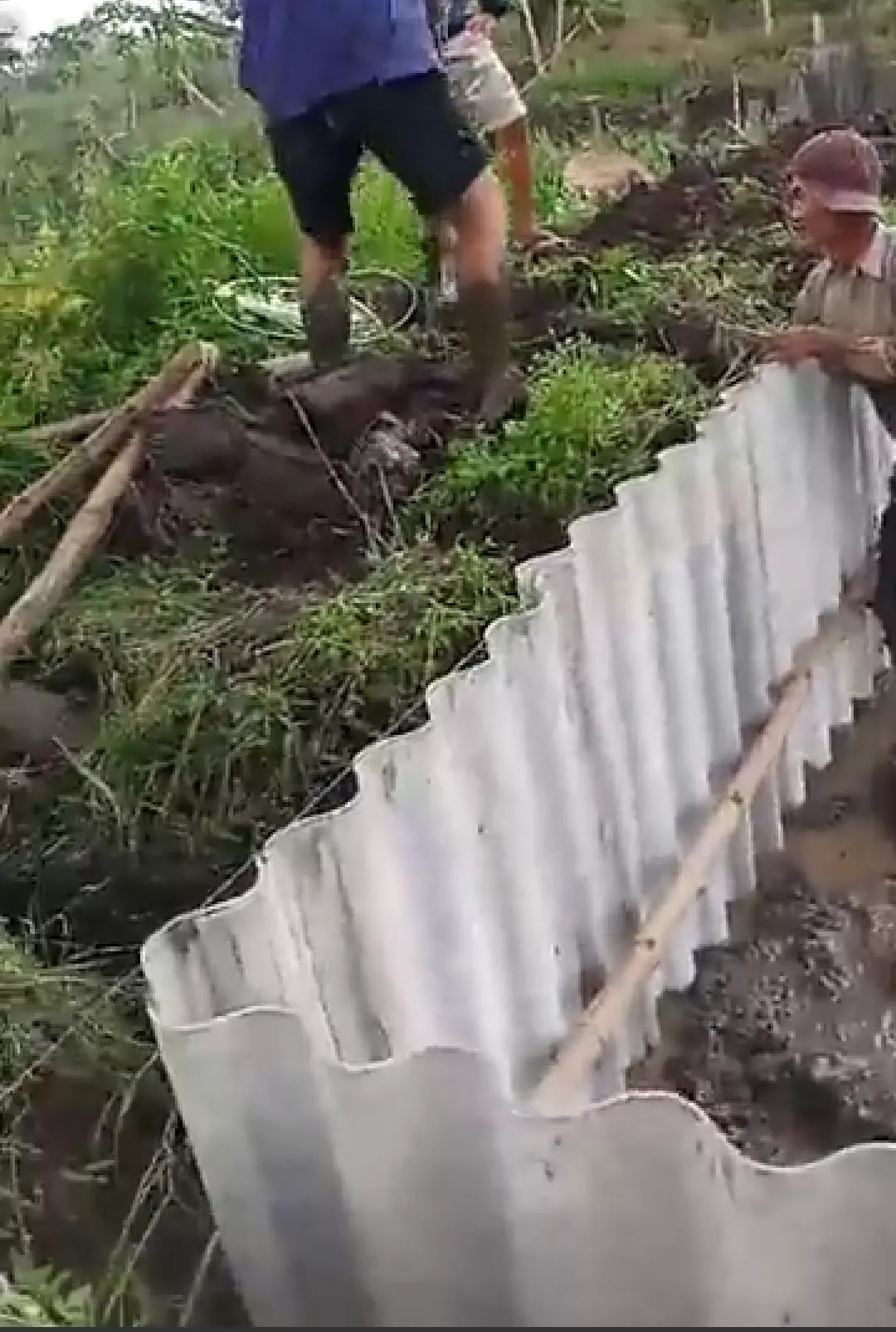 kỹ thuật làm ao nuôi baba trong đất