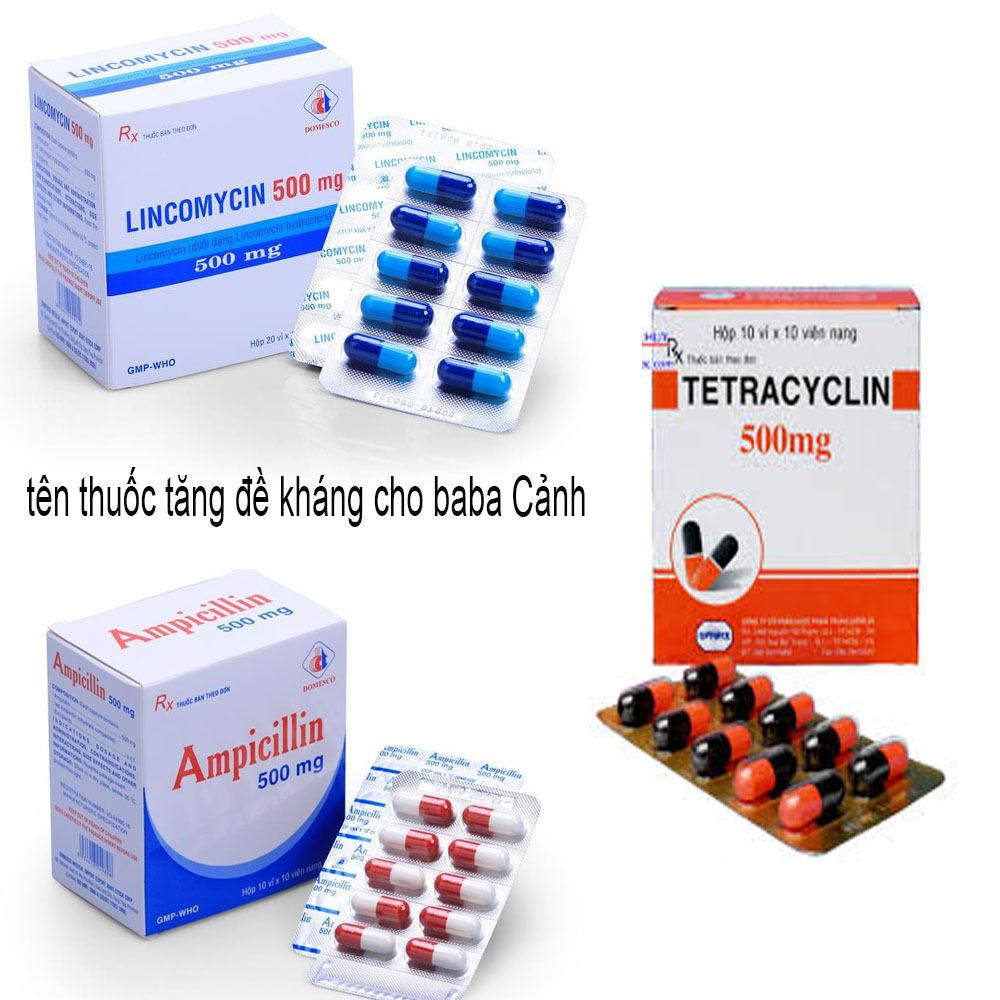 thuốc trị bệnh baba cảnh